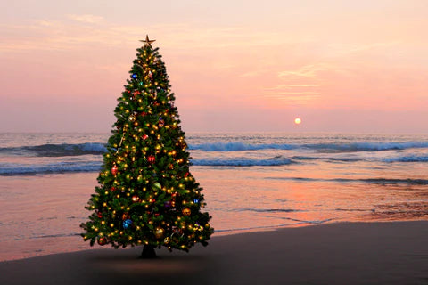 How to Plan a Christmas Beach Party